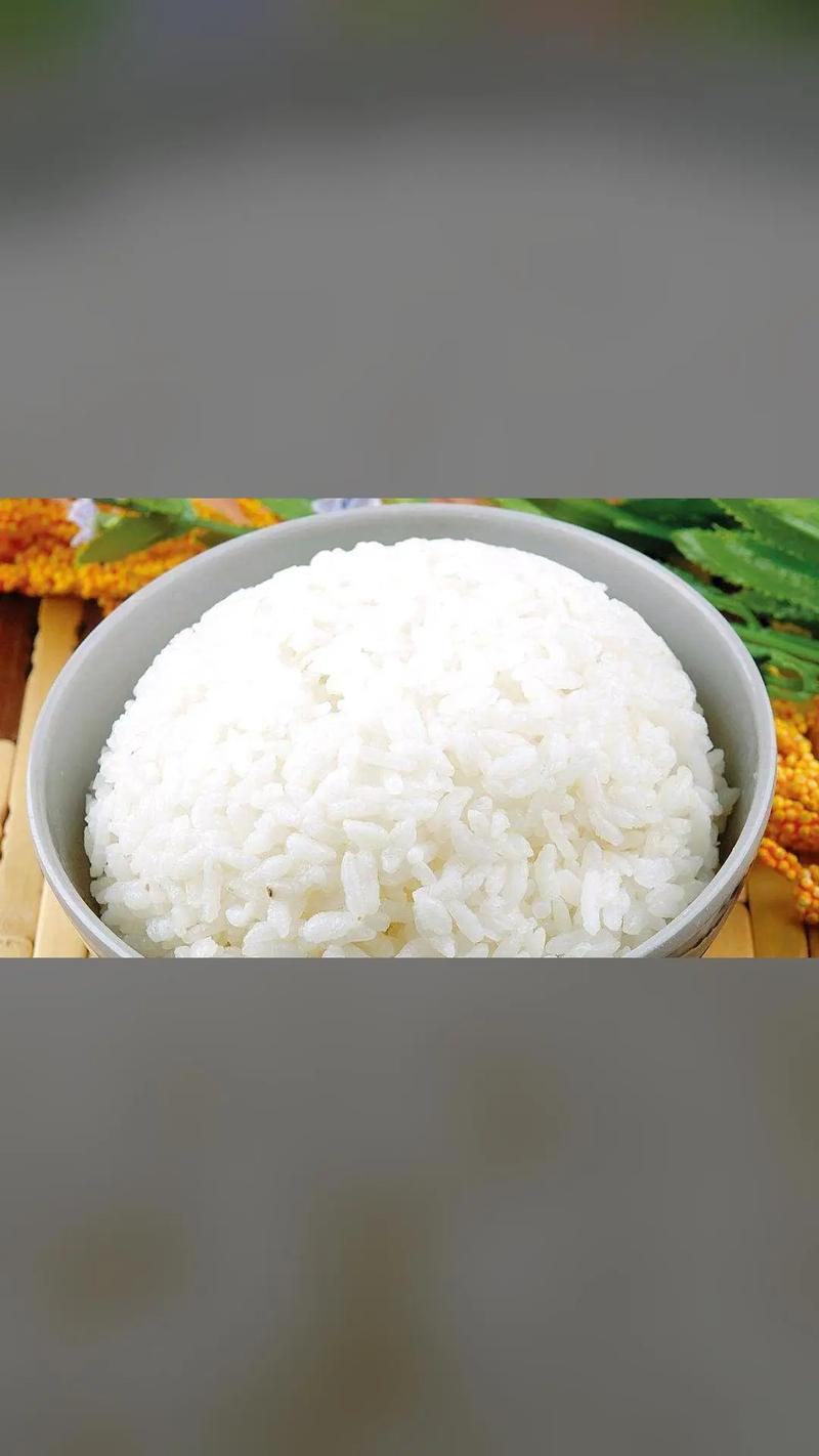 成都有哪些加盟项目