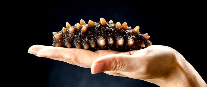 大连品牌海参有哪些