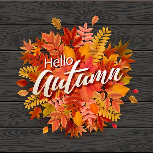 秋季销售主题有哪些