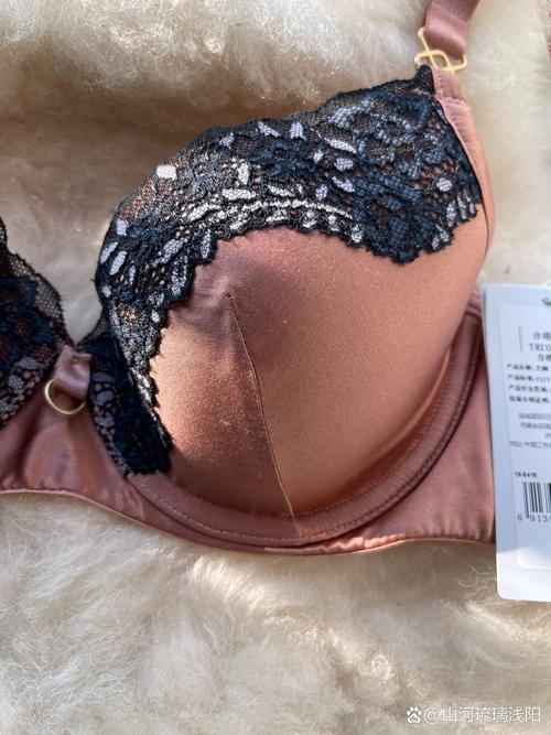 上海品牌内衣有哪些