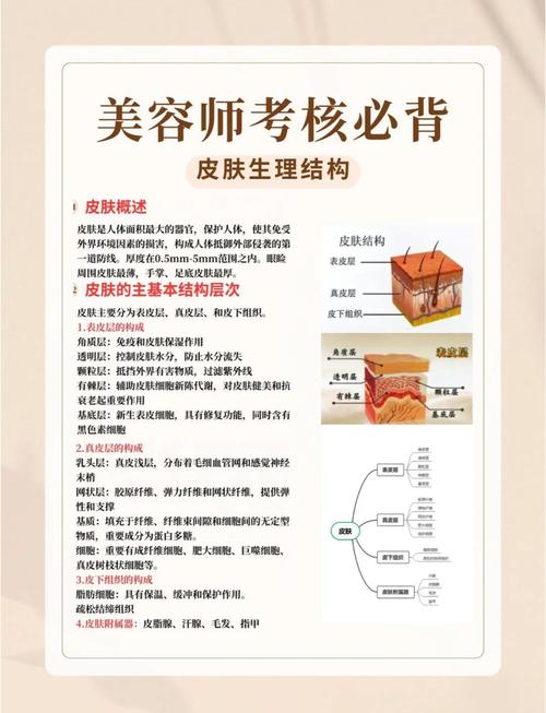 美容馆有哪些功能