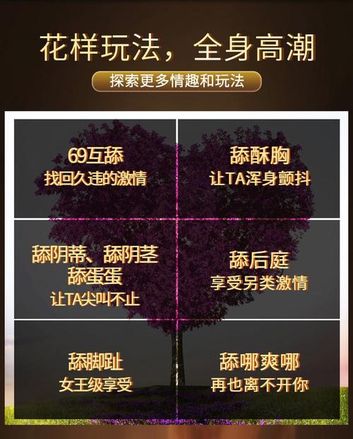 情趣知识有哪些场所