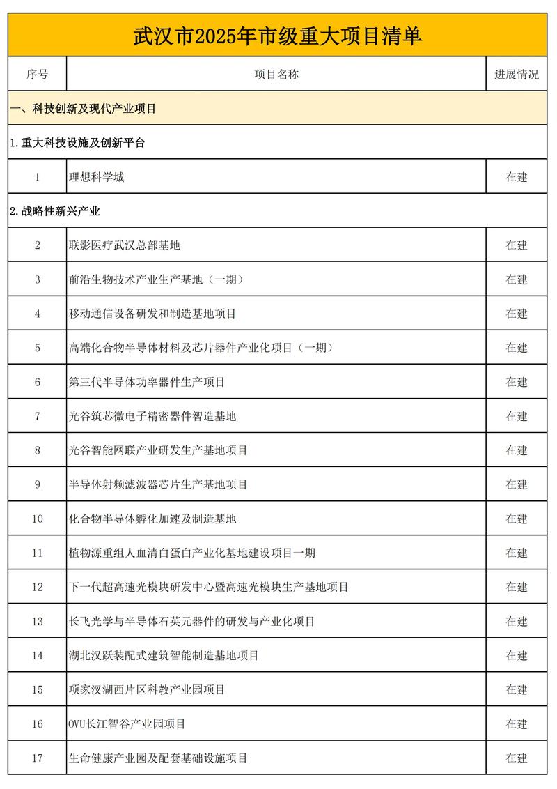 2025好项目有哪些