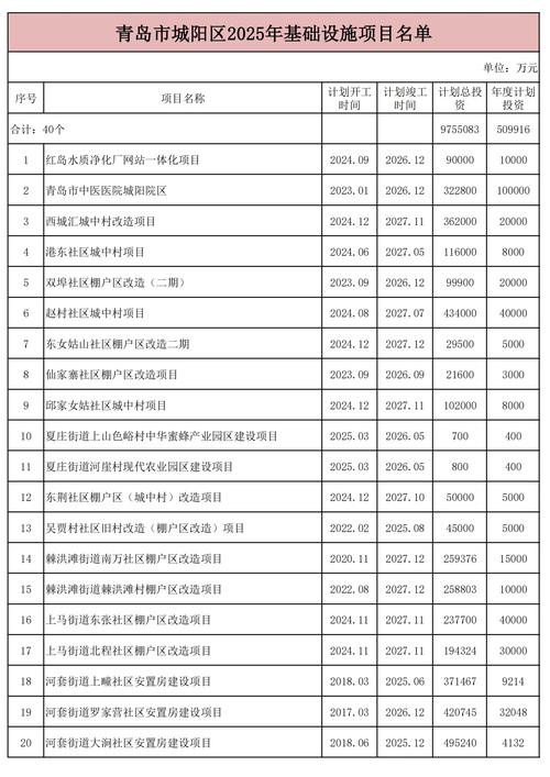 2025好项目有哪些