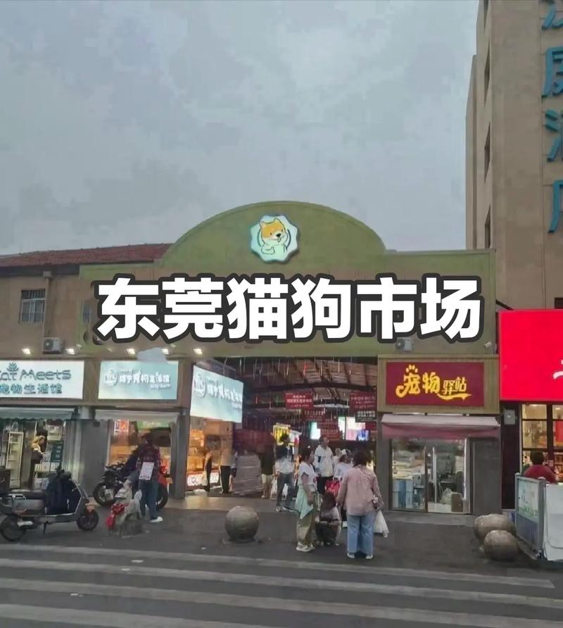 东莞有哪些好市场