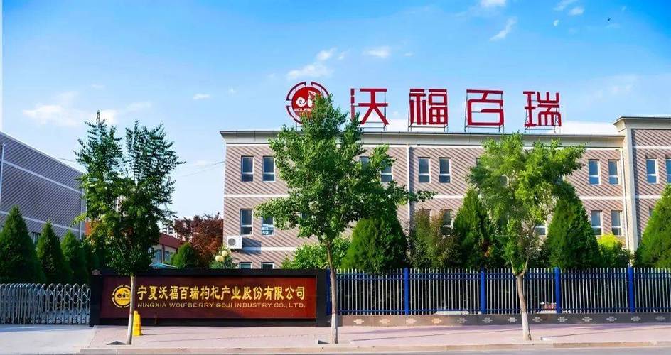 宁夏的品牌有哪些