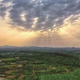 市场维护岗位职责