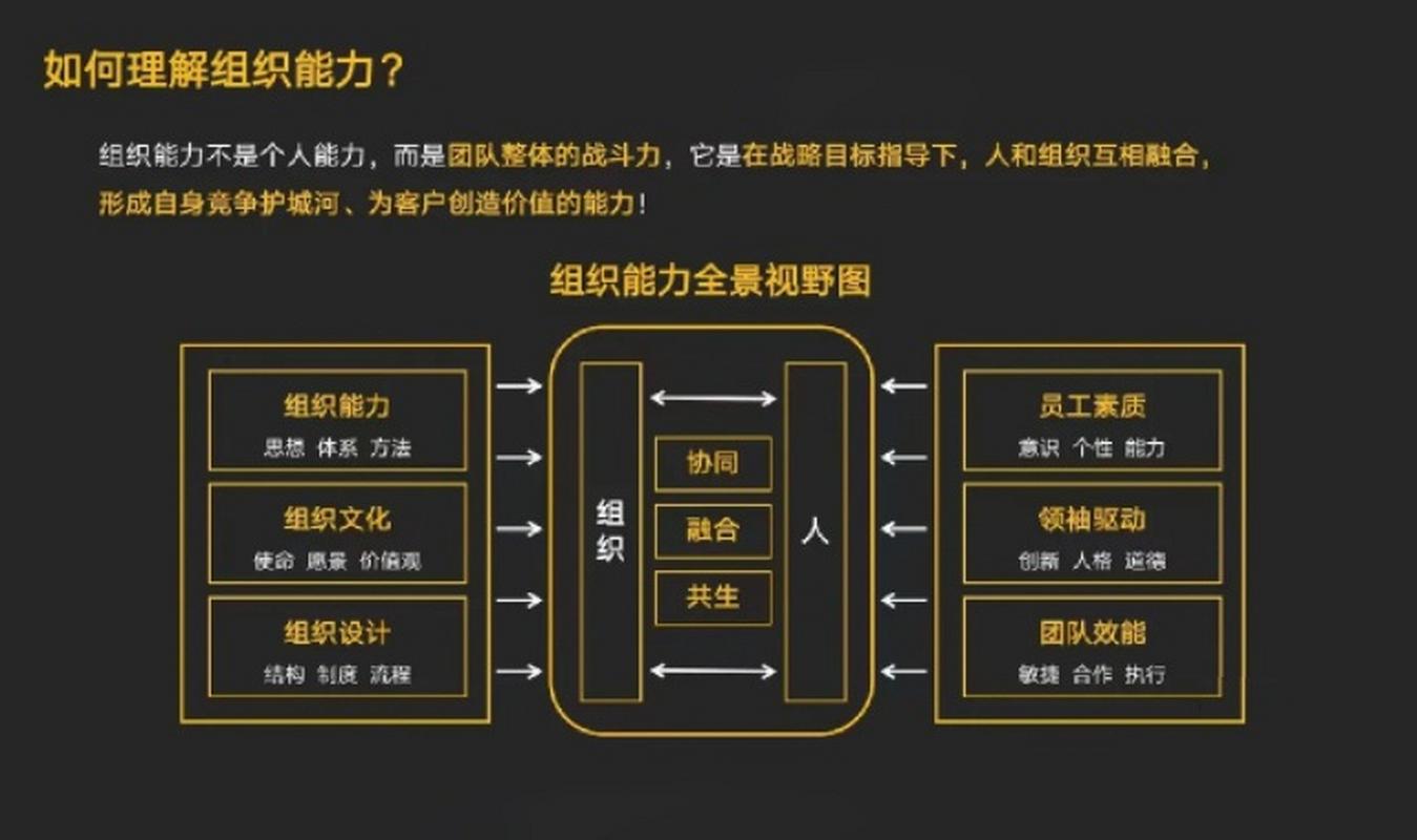 创业团哪些能力板块