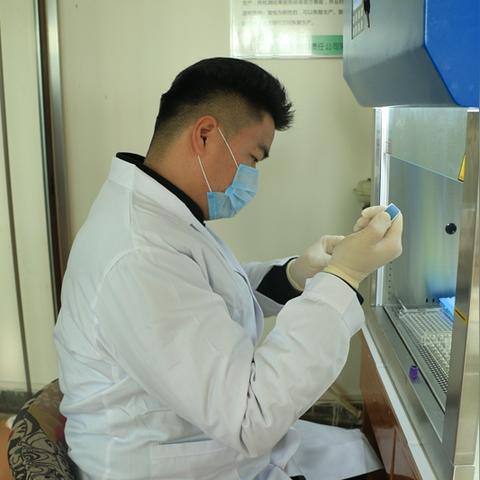 屠宰办岗位职责