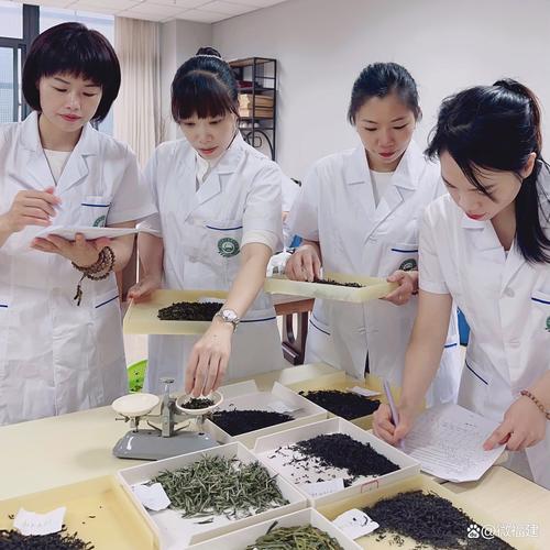 茶叶培训包括哪些内容