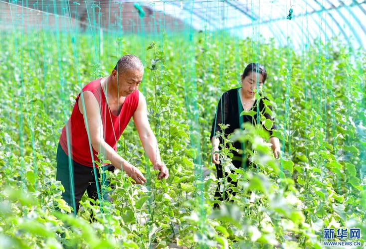 夏天哪些致富快