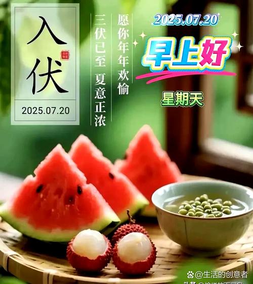 夏天哪些致富快