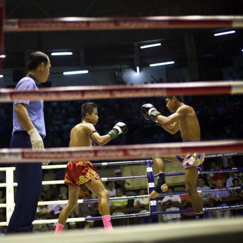 搏击教练岗位职责