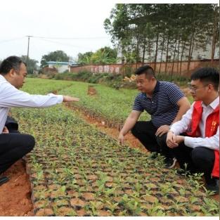 信用专员的核心职责具体有哪些? 信用专员的核心职责具体有哪些?