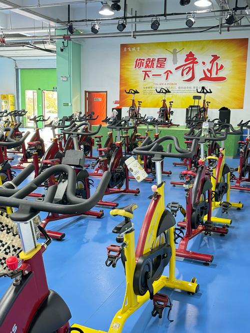 专业瘦身机构有哪些