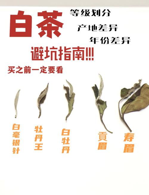 哪些品牌白茶招代理