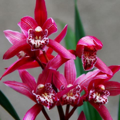 时尚服饰有哪些必备单品？