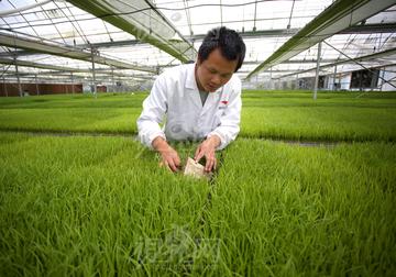 农业专业岗位职责具体包含哪些内容？