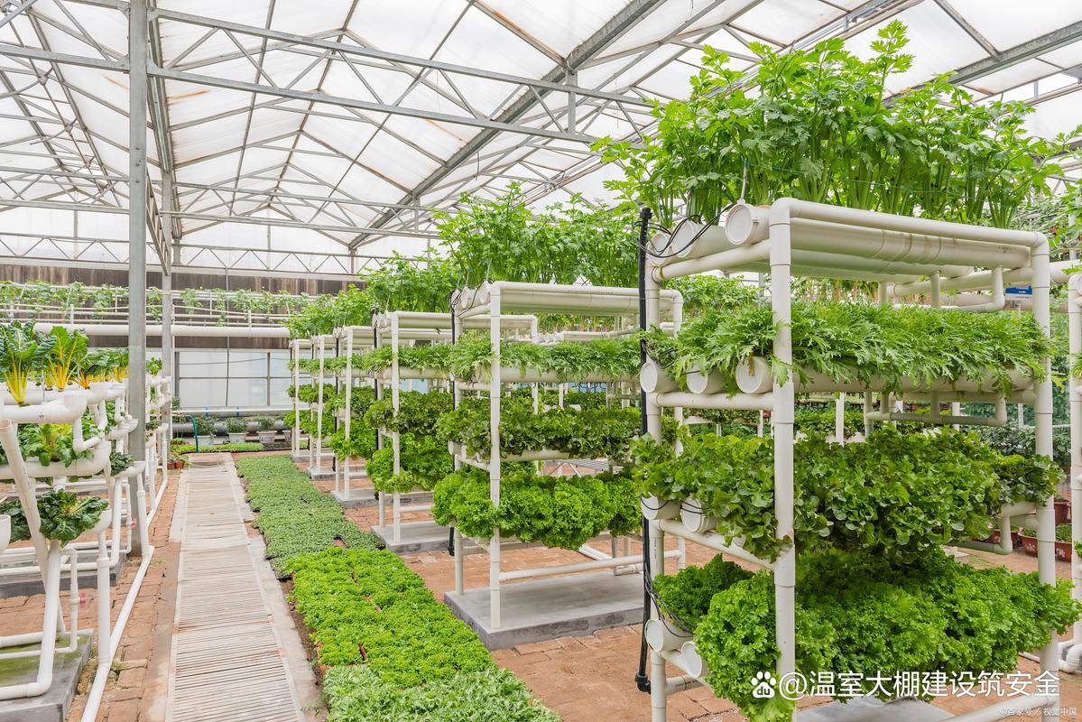 种植能项目有哪些