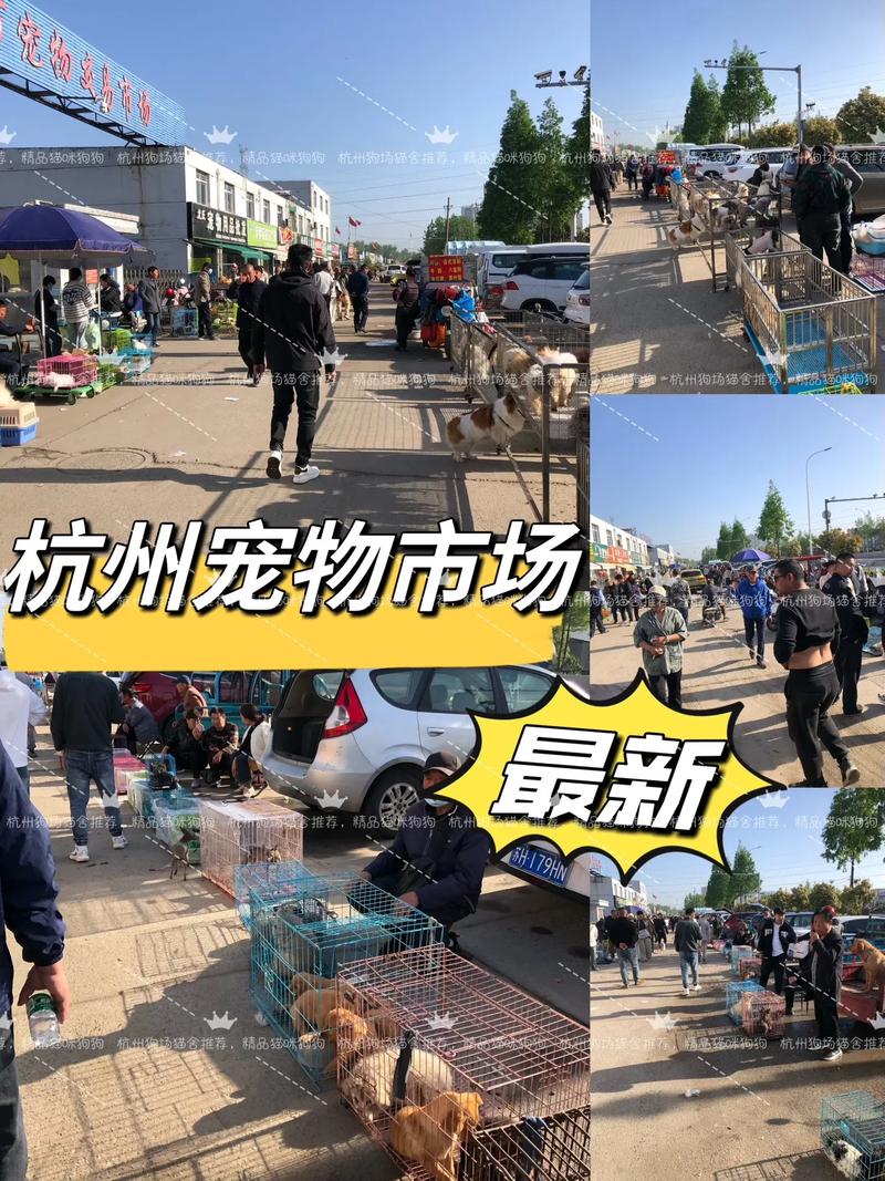 杭州有哪些大型批发