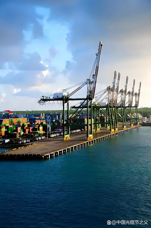 码头有哪些商机