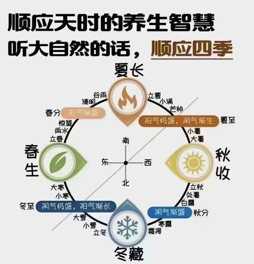 养生模式有哪些