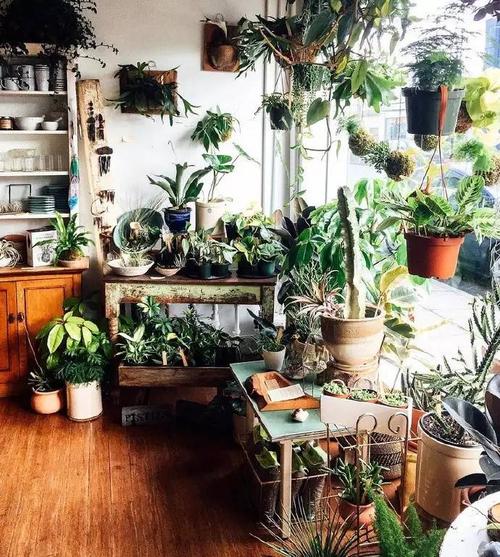 花房需要哪些条件