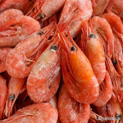 即食有哪些海鲜