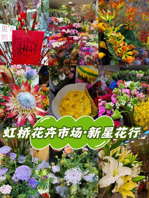 花店都有哪些鲜花