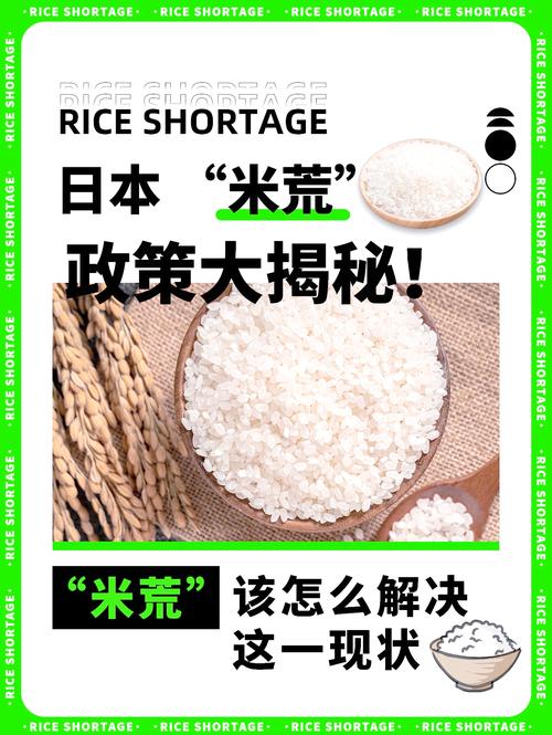 哪些可以代替米饭