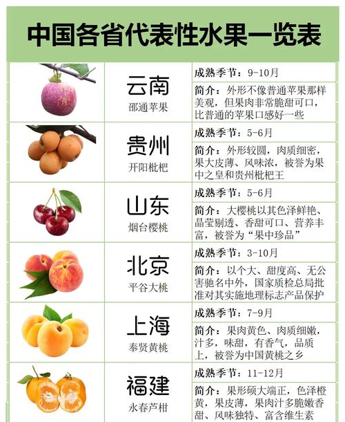 水果都有哪些渠道