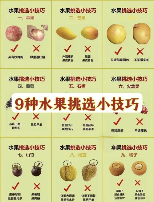 水果都有哪些渠道