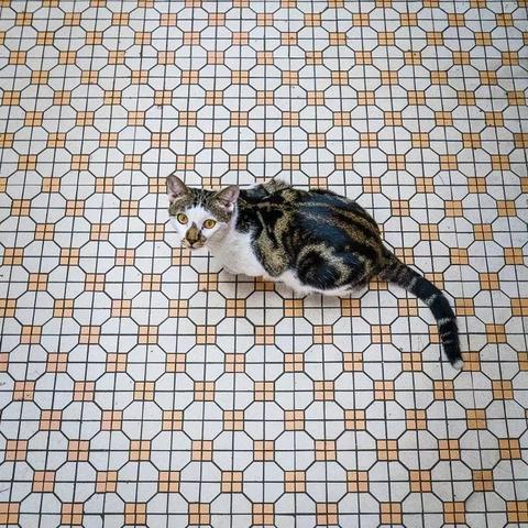 店铺人员岗位职责具体如何划分？