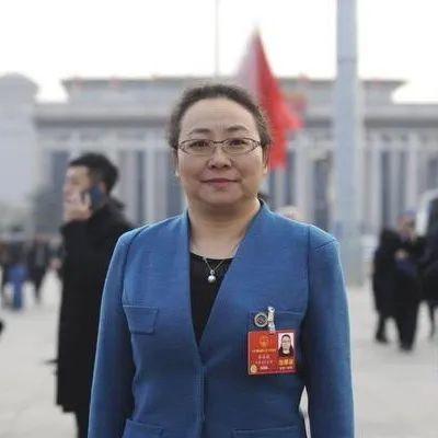 综合贸易岗位职责