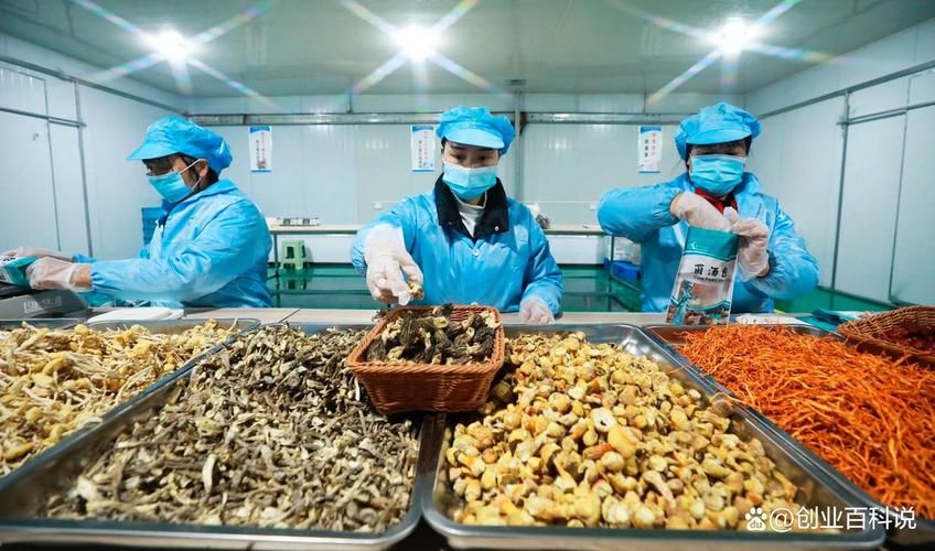 农村生意有哪些