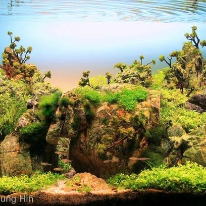 江西金塔家具质量与口碑究竟如何? 江西金塔家具质量与口碑究竟如何?