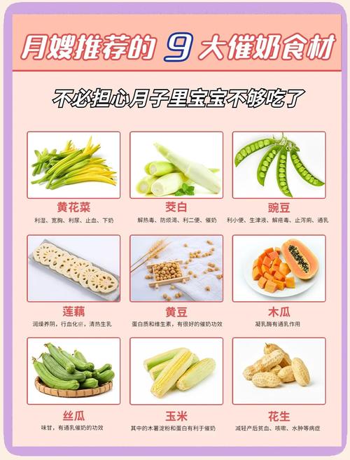 母婴食品包括哪些