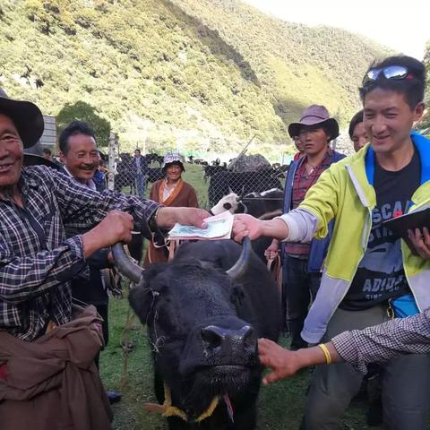 小程序岗位职责具体包含哪些核心工作内容？