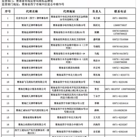 名单内平台公司如何快速查询？