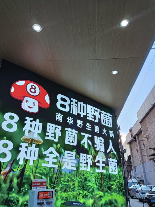 菌类有哪些牌子