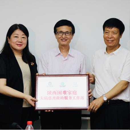 签约画家具体职责范围有哪些？