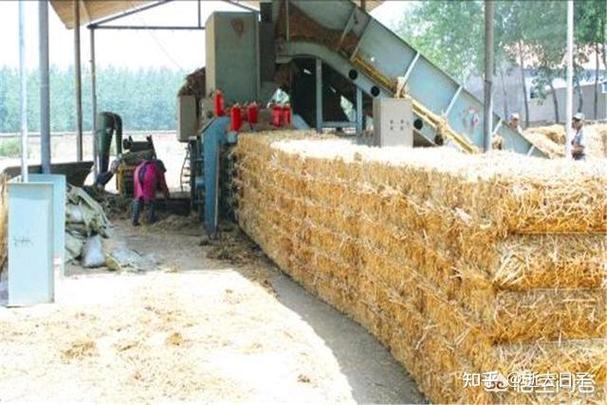 冷门产业有哪些