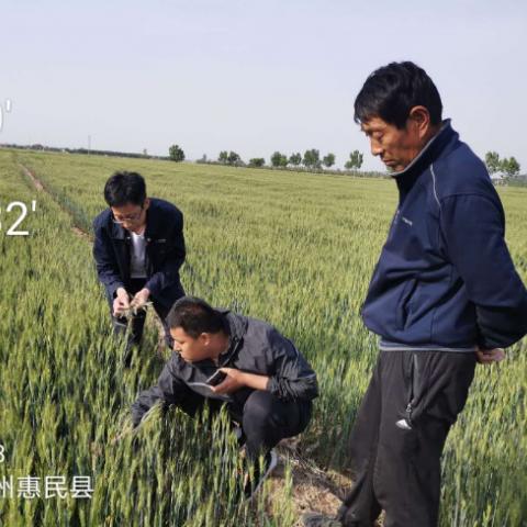 理赔查勘岗具体职责是什么？