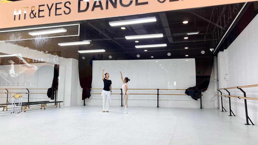 有哪些舞蹈机构