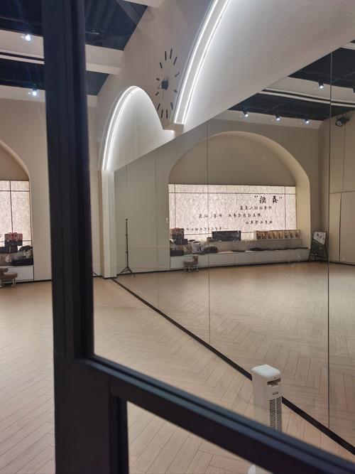 有哪些舞蹈机构