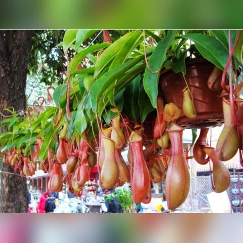 公路人岗位职责具体有哪些？