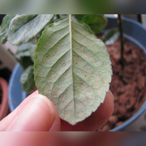 公路人岗位职责具体有哪些？