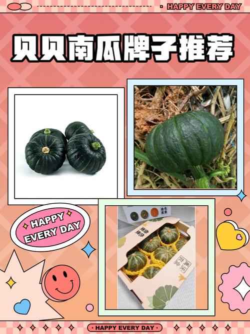 南瓜都有哪些品牌