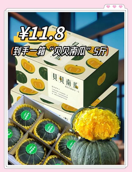 南瓜都有哪些品牌