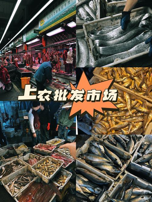 全国有哪些市场